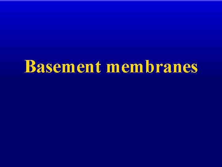 Basement membranes 