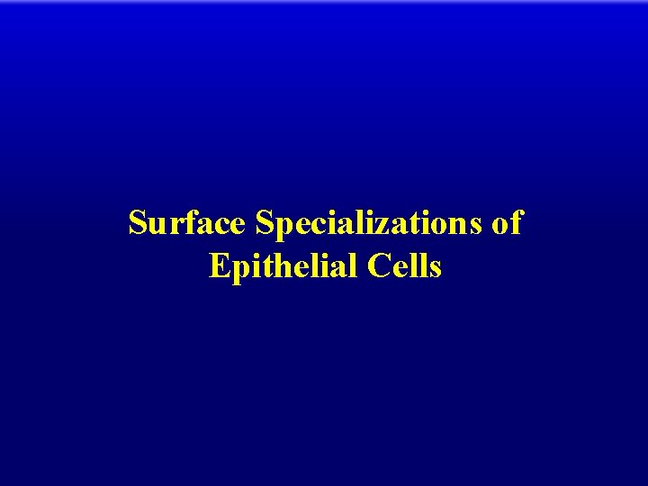 Surface Specializations of Epithelial Cells 