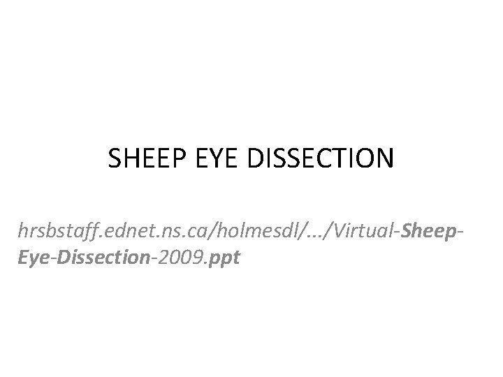 SHEEP EYE DISSECTION hrsbstaff. ednet. ns. ca/holmesdl/. . . /Virtual-Sheep. Eye-Dissection-2009. ppt 