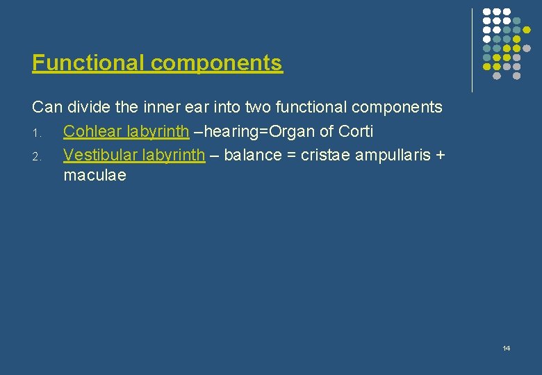 Functional components Can divide the inner ear into two functional components 1. Cohlear labyrinth