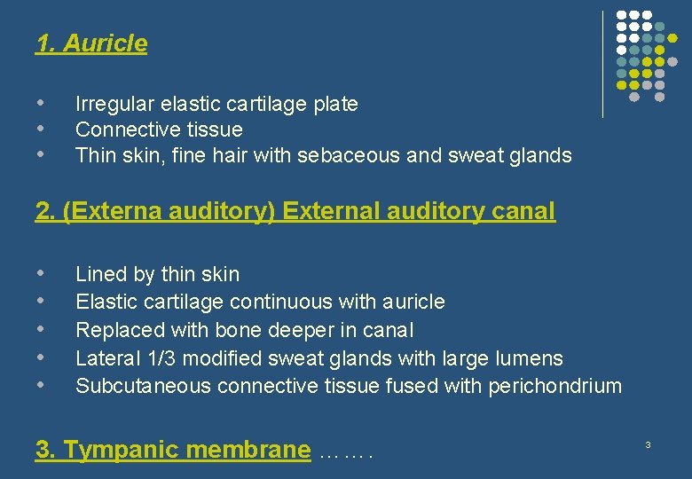 1. Auricle • • • Irregular elastic cartilage plate Connective tissue Thin skin, fine