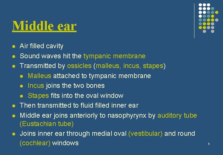 Middle ear l l l Air filled cavity Sound waves hit the tympanic membrane