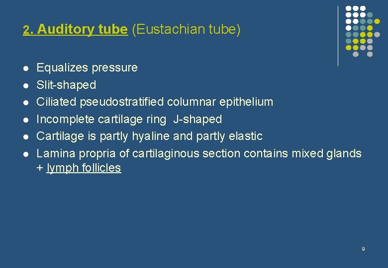 2. Auditory tube (Eustachian tube) l l l Equalizes pressure Slit-shaped Ciliated pseudostratified columnar