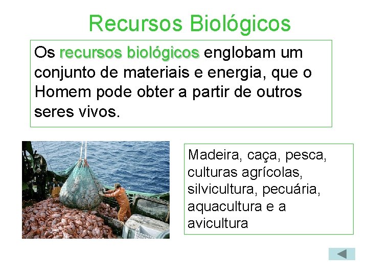 Recursos Biológicos Os recursos biológicos englobam um conjunto de materiais e energia, que o
