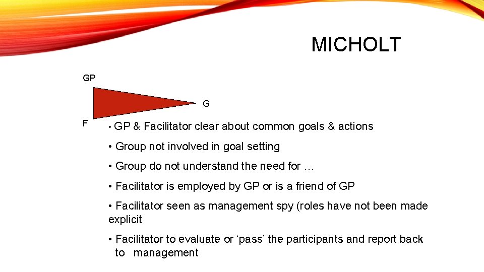 MICHOLT GP G F • GP & Facilitator clear about common goals & actions