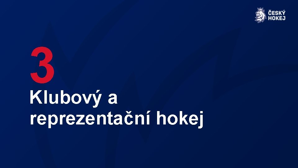 3 Klubový a reprezentační hokej 