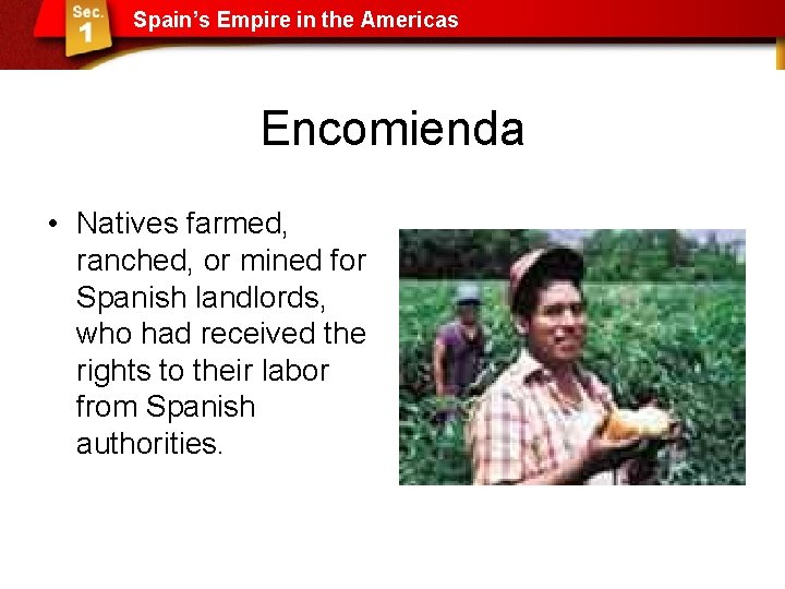 Spain’s Empire in the Americas Encomienda • Natives farmed, ranched, or mined for Spanish