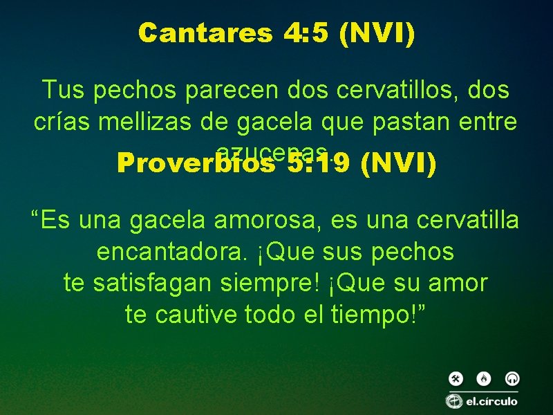 Cantares 4: 5 (NVI) Tus pechos parecen dos cervatillos, dos crías mellizas de gacela