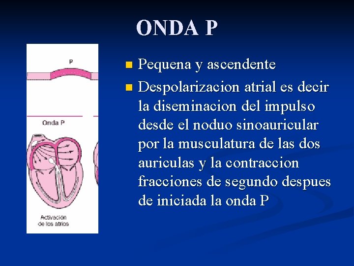 ONDA P Pequena y ascendente n Despolarizacion atrial es decir la diseminacion del impulso