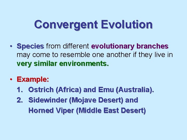 Convergent Evolution • Species from different evolutionary branches may come to resemble one another