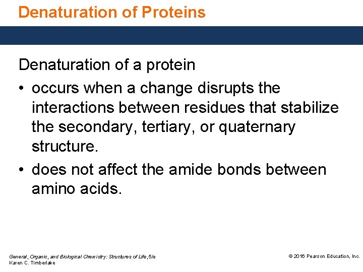 Denaturation of Proteins Denaturation of a protein • occurs when a change disrupts the