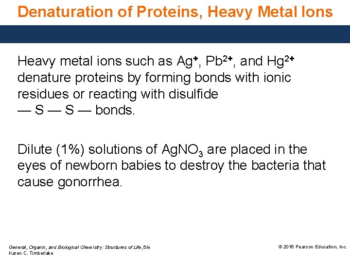 Denaturation of Proteins, Heavy Metal Ions Heavy metal ions such as Ag+, Pb 2+,