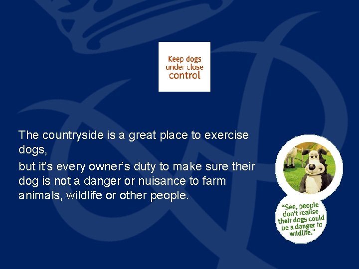 The countryside is a great place to exercise dogs, but it’s every owner’s duty