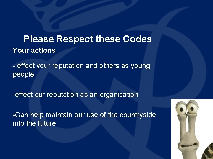 Please Respect these Codes Your actions - effect your reputation and others as young