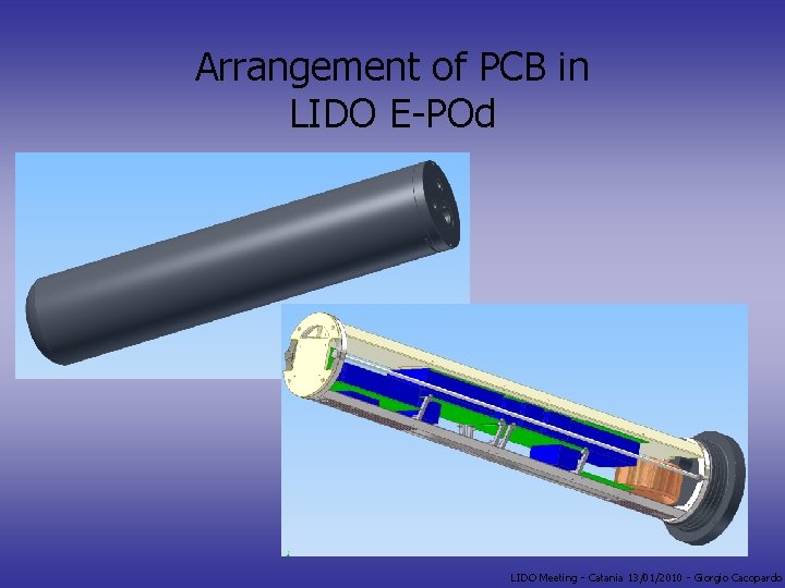 Arrangement of PCB in LIDO E-POd LIDO Meeting - Catania 13/01/2010 - Giorgio Cacopardo