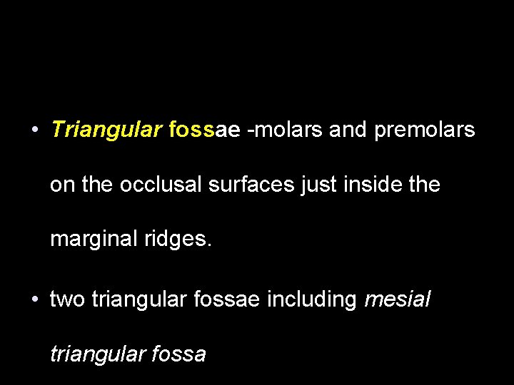  • Triangular fossae -molars and premolars on the occlusal surfaces just inside the