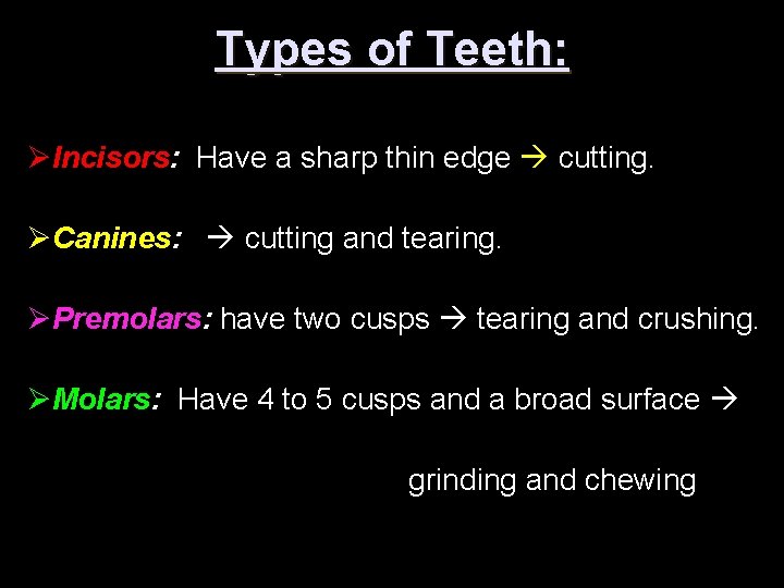 Types of Teeth: ØIncisors: Have a sharp thin edge cutting. ØCanines: cutting and tearing.