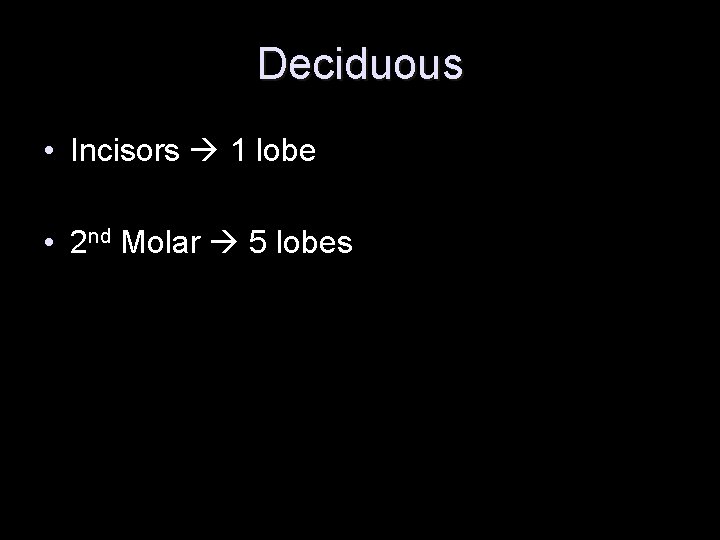 Deciduous • Incisors 1 lobe • 2 nd Molar 5 lobes 