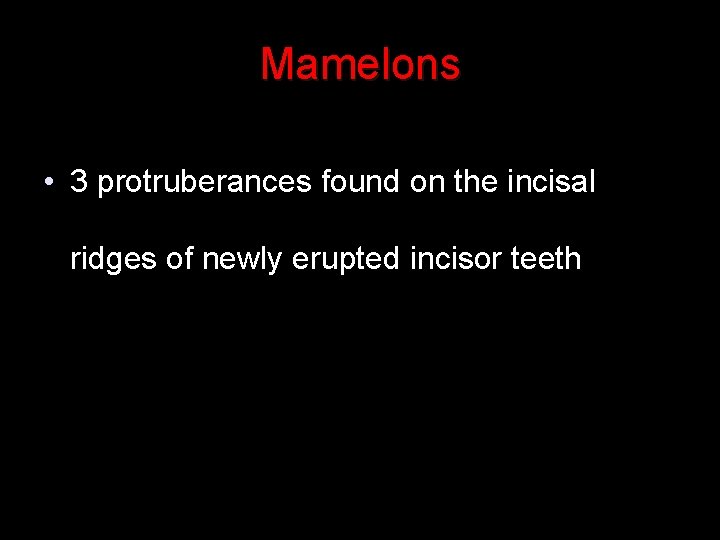 Mamelons • 3 protruberances found on the incisal ridges of newly erupted incisor teeth