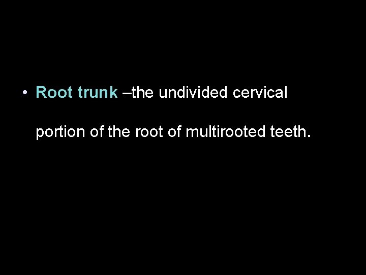  • Root trunk –the undivided cervical portion of the root of multirooted teeth.
