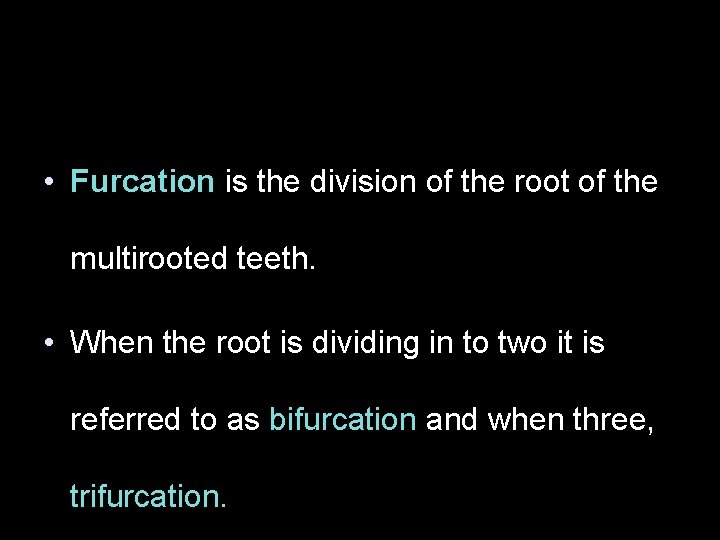  • Furcation is the division of the root of the multirooted teeth. •