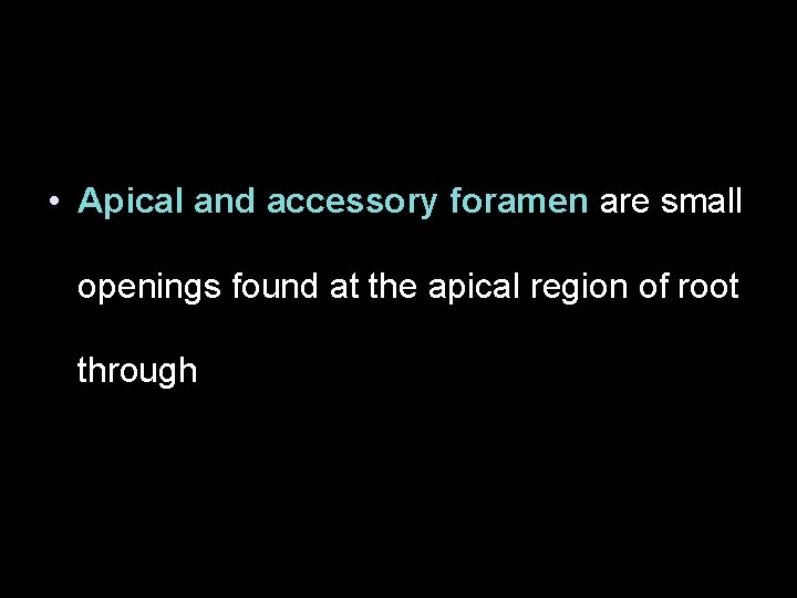  • Apical and accessory foramen are small openings found at the apical region