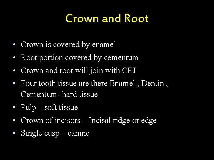 Crown and Root • Crown is covered by enamel • Root portion covered by