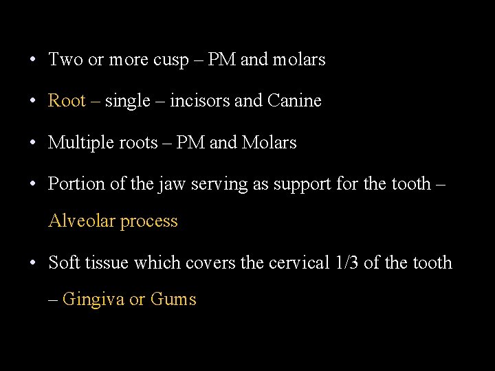  • Two or more cusp – PM and molars • Root – single