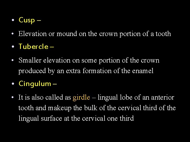  • Cusp – • Elevation or mound on the crown portion of a