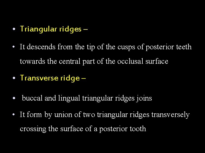  • Triangular ridges – • It descends from the tip of the cusps