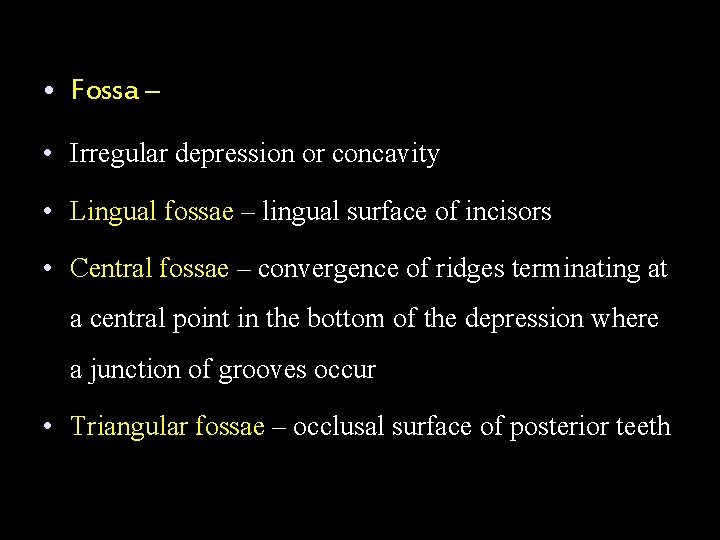  • Fossa – • Irregular depression or concavity • Lingual fossae – lingual