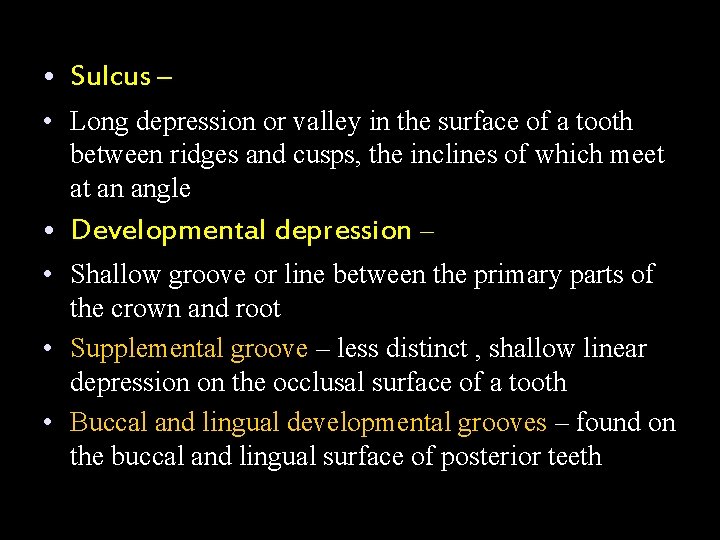  • Sulcus – • Long depression or valley in the surface of a