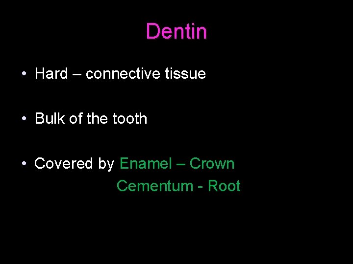 Dentin • Hard – connective tissue • Bulk of the tooth • Covered by
