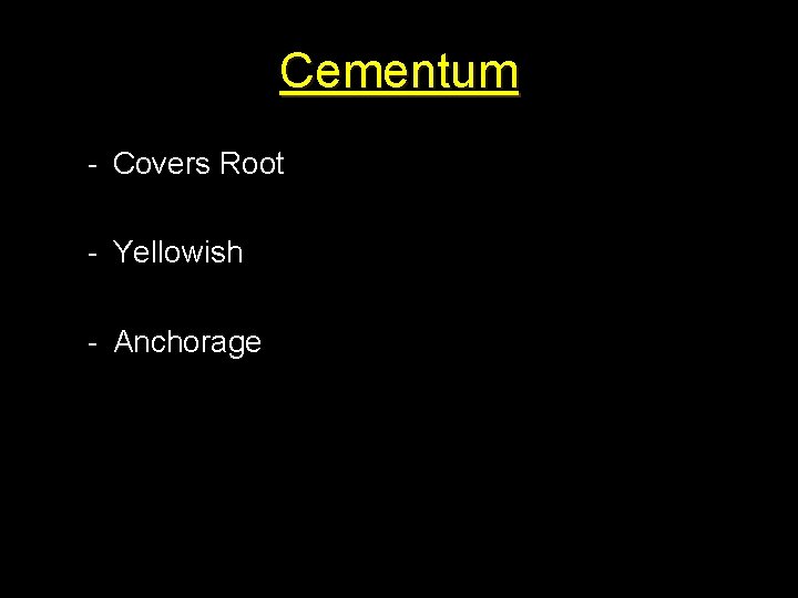 Cementum - Covers Root - Yellowish - Anchorage 