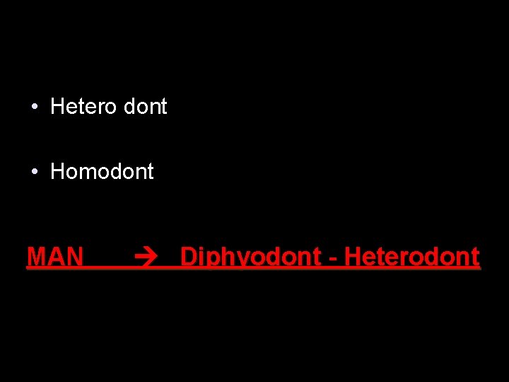  • Hetero dont • Homodont MAN Diphyodont - Heterodont 