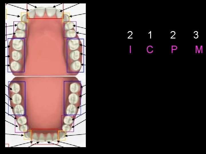 2 I 1 C 2 P 3 M 