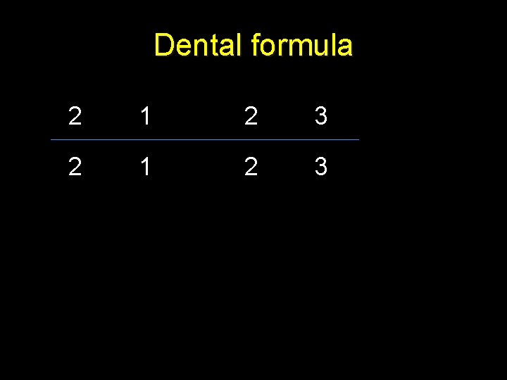 Dental formula 2 1 2 3 