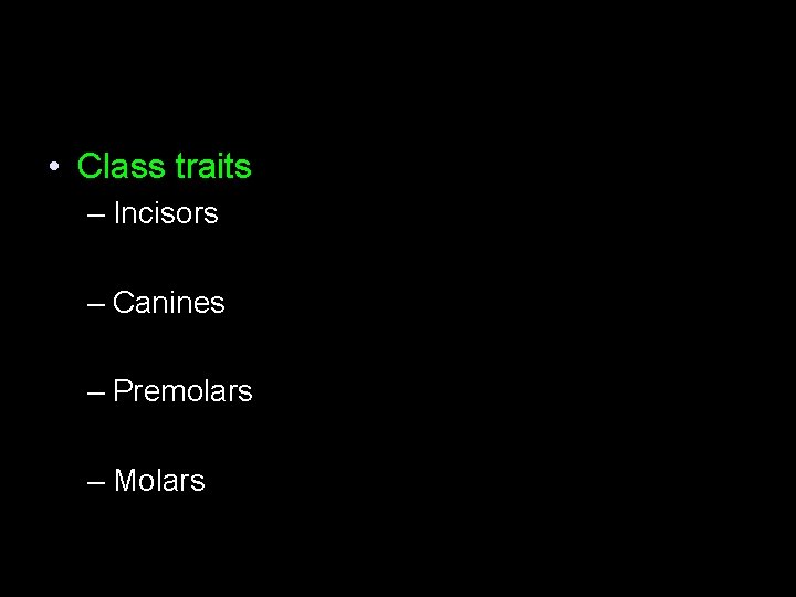  • Class traits – Incisors – Canines – Premolars – Molars 