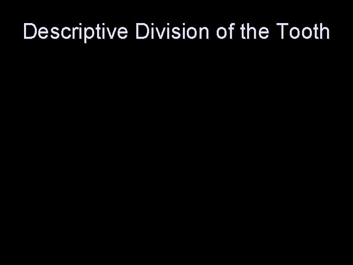 Descriptive Division of the Tooth 