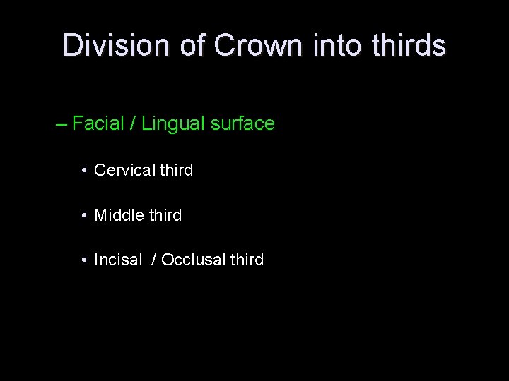 Division of Crown into thirds – Facial / Lingual surface • Cervical third •