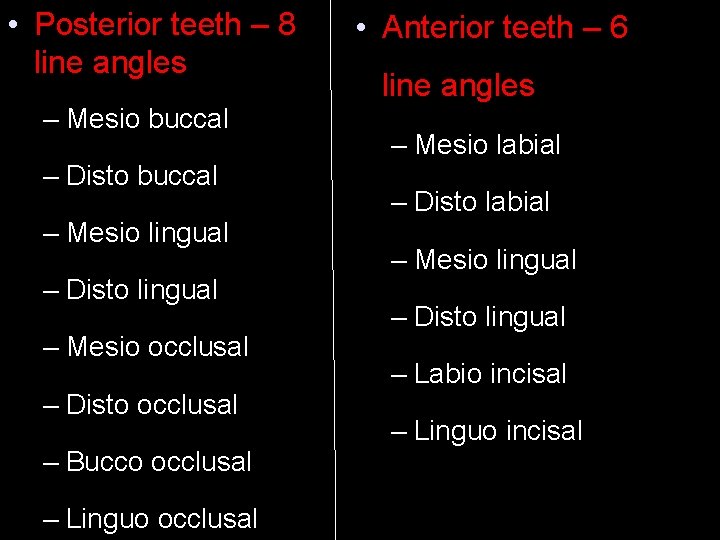  • Posterior teeth – 8 line angles – Mesio buccal – Disto buccal