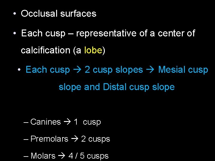  • Occlusal surfaces • Each cusp – representative of a center of calcification