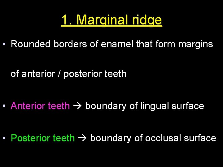 1. Marginal ridge • Rounded borders of enamel that form margins of anterior /