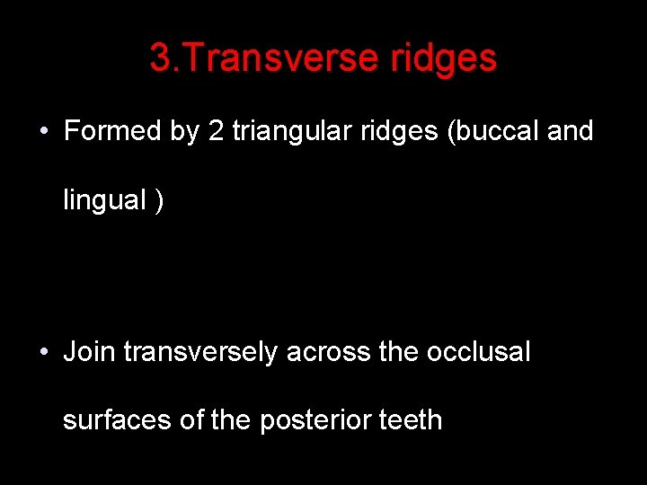 3. Transverse ridges • Formed by 2 triangular ridges (buccal and lingual ) •