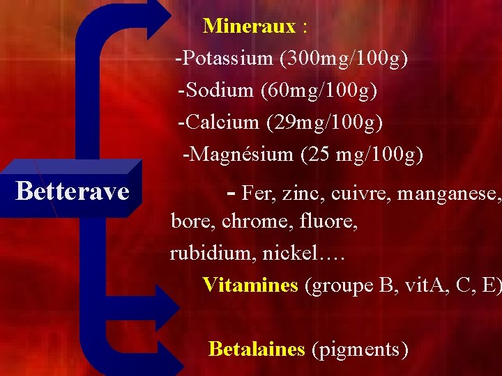 Mineraux : -Potassium (300 mg/100 g) -Sodium (60 mg/100 g) -Calcium (29 mg/100 g)
