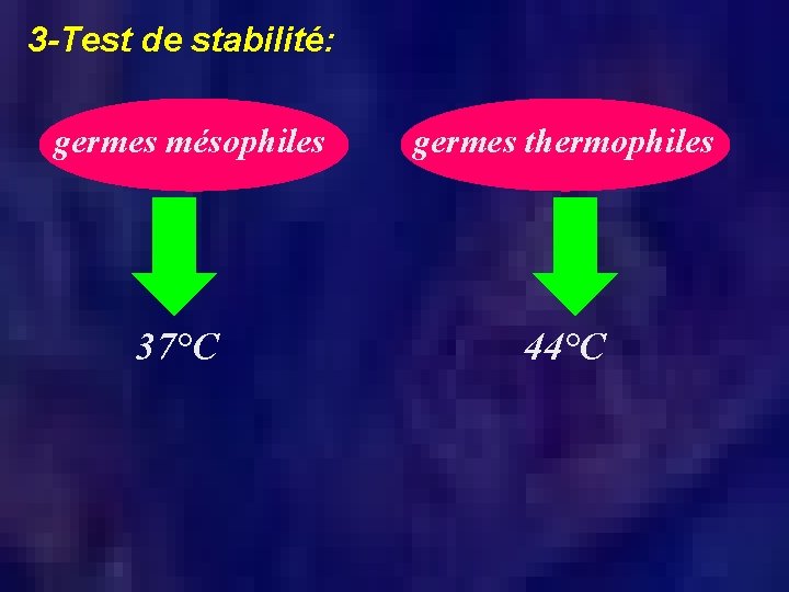 3 -Test de stabilité: germes mésophiles germes thermophiles 37°C 44°C 