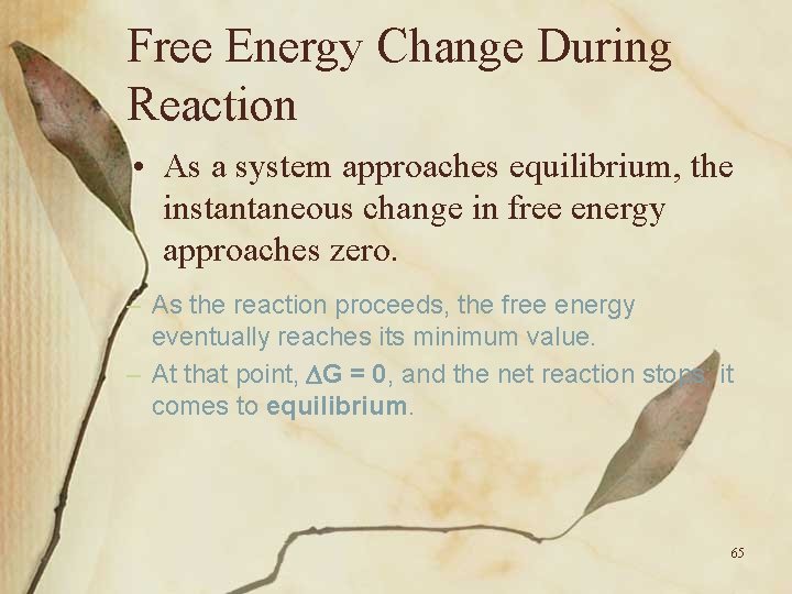 Free Energy Change During Reaction • As a system approaches equilibrium, the instantaneous change
