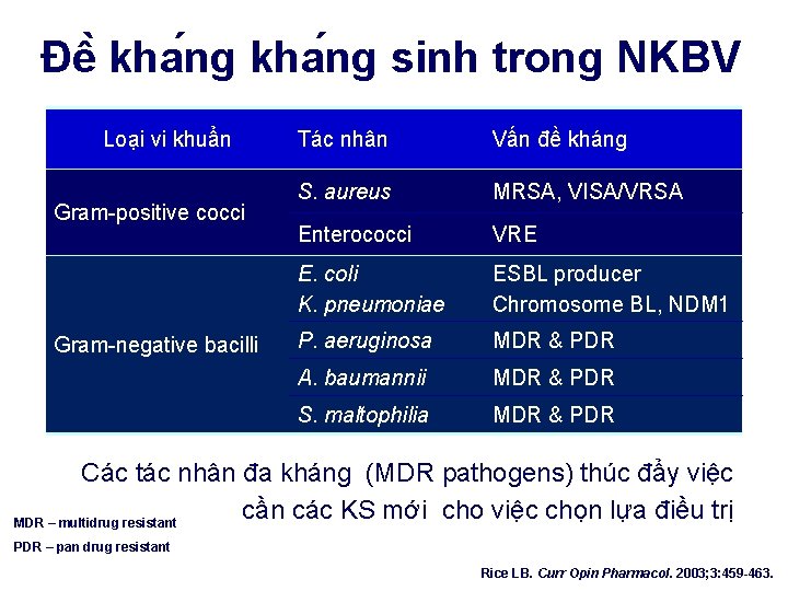 Đê kha ng sinh trong NKBV Loại vi khuẩn Gram-positive cocci Gram-negative bacilli Tác