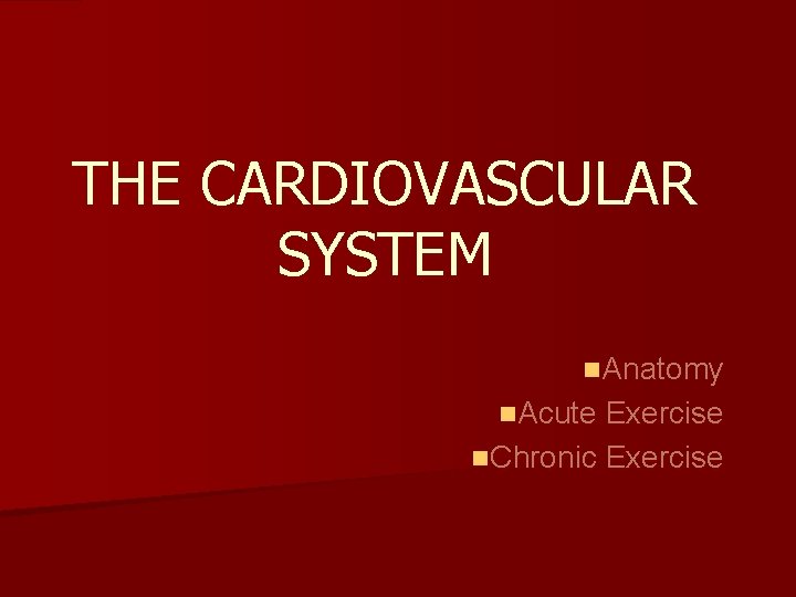 THE CARDIOVASCULAR SYSTEM n. Anatomy n. Acute Exercise n. Chronic Exercise 