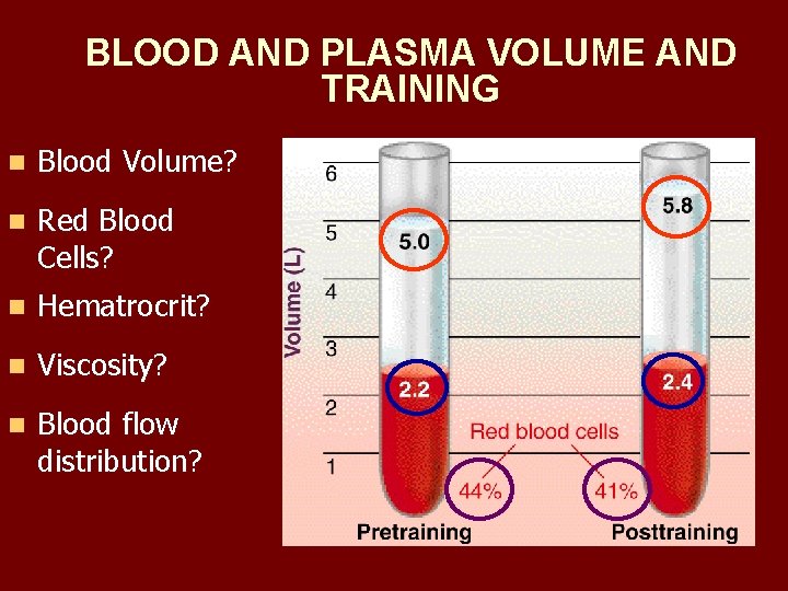 BLOOD AND PLASMA VOLUME AND TRAINING n Blood Volume? n Red Blood Cells? n